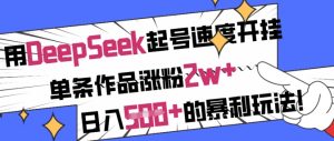 用DeepSeek起号速度开挂，单条作品涨粉2w+，日入5张+的暴利玩法-最全项目网