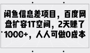 闲鱼信息差项目，百度网盘扩容1T空间，2天收益1k+，人人可做0成本-最全项目网