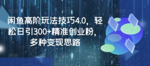闲鱼高阶玩法技巧4.0,轻松日引300+精准创业粉,多种变现思路-最全项目网