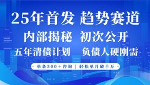 2025年首次公开,真正的事业型赛道,客咨不断,单月轻松破W-最全项目网