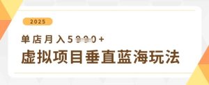 虚拟项目垂直玩法,实现单店月入5k+-最全项目网