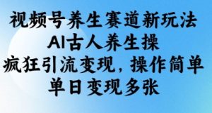 视频号养生赛道新玩法，AI古人养生操，疯狂引流变现，操作简单，单日变现多张-最全项目网