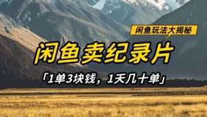 闲鱼卖纪录片1单3块钱，1天几十单，项目稳定有潜力-最全项目网