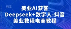 美业AI获客Deepseek+数字人-抖音美业教程电商教程-最全项目网