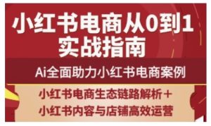 2025小红书电商全链路运营,Ai全面助力小红书电商案例-最全项目网