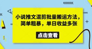 小说推文混剪批量搬运方法，简单粗暴，单日收益多张-最全项目网
