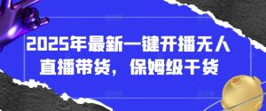 2025年最新一键开播无人直播带货,保姆级干货-最全项目网