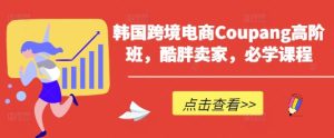 韩国跨境电商Coupang高阶班,酷胖卖家,必学课程-最全项目网