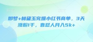 即梦+林黛玉完爆小红书商单,3天涨粉1千,靠怼人月入5k+-最全项目网