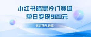 小红书冷门”暗黑”赛道,单日收益多张-最全项目网