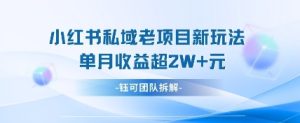 小红书私域项目新玩法,单月变现过W+-最全项目网