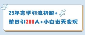 25年国学引流拆解+单日引200人+小白当天就能变现-最全项目网