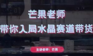 芒果老师·带你入局水晶赛道带货,助你开启水晶直播带货事业-最全项目网