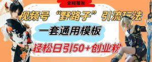 视频号“野路子”玩法,评论区疯狂截流,一套模板单日单号引流50+创业粉-最全项目网