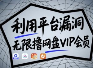 利用平台漏洞,无限撸网盘VIP会员,用户亲测有效!【漏洞原理+操作演示】-最全项目网