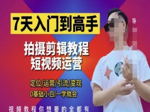 7天入门到高手,短视频剪辑运营高手课,定位 运营 引|流 变现,0基础小白一学就会-最全项目网