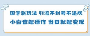 国学新玩法,引流不封号不违规小白也能操作,当日就能变现-最全项目网