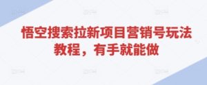 悟空搜索拉新项目营销号玩法教程，有手就能做-最全项目网