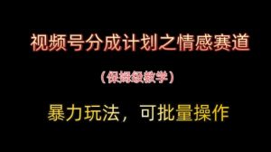 视频号分成计划之情感赛道暴力玩法,可批量操作,保姆级教学-最全项目网