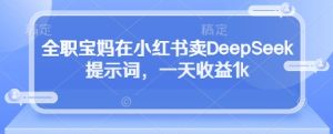 全职宝妈在小红书卖DeepSeek提示词,一天收益1k-最全项目网