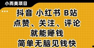 小而美的项目,抖音小红书B站视频点赞、关注、评论就能挣钱,简单无脑立见收益,妥妥的零撸项目【揭秘】-最全项目网