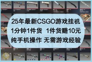 25年最新CSGO游戏挂G，1分钟1件货，1件货挣10元，纯手机操作，无需游戏经验【揭秘】-最全项目网