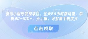 微信小程序变现项目，全天24小时都可做，单机30-100+，无上限，可批量手机放大-最全项目网