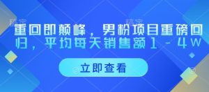 重回即颠峰,男粉项目重磅回归,平均每天销售额1-4W-最全项目网