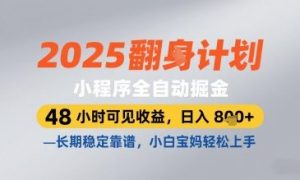 2025小程序全自动掘金，48 小时可见收益，日入8张，长期稳定靠谱，小白宝妈轻松上手【揭秘】-最全项目网