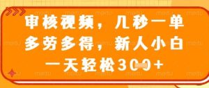 视频审核员，几秒一单，不限时间，不限地点，多做多得，新人小白一天轻松几张+【揭秘】-最全项目网