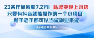抖音私域项目23条作品涨粉7.2W,私域变现1W-最全项目网