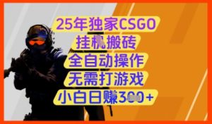 25年独家CSGO挂G搬砖，全自动操作，无需打游戏，小白日入3张+【揭秘】-最全项目网