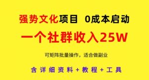 强势文化项目，一个社群收入25个W，0成本启动，可矩阵批量操作，原创详细实操教程-最全项目网