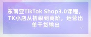 东南亚TikTok Shop3.0课程，TK小店​从初级到高阶，运营出单干货输出-最全项目网