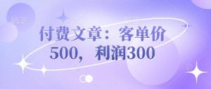 付费文章：客单价500，利润300-最全项目网