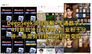 DeepSeek项目拆解+卡通数字人，4月新玩法日引200+创业粉十分钟一条混剪日稳定四位数变现-最全项目网