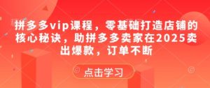 拼多多vip课程,零基础打造店铺的核心秘诀,助拼多多卖家在2025卖出爆款,订单不断-最全项目网