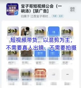 宝子哥头部团队短视频带货,以混剪为主,不需要真人出镜,不需要拍摄-最全项目网