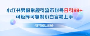 小红书男粉常规引流不封号日引99+变现简单 可矩阵可复制小白容易上手-最全项目网
