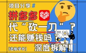 【2025最新】拼多多代坎助力项目深度拆解：还能挣钱吗?全流程玩法-最全项目网