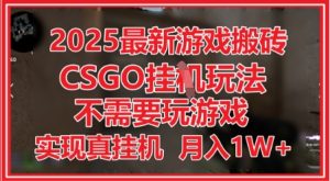 2025最新游戏搬砖，CSGO挂G，不需要玩游戏，实现真挂G，月入1W+【揭秘】-最全项目网