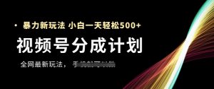 视频号分成计划,全网最暴力玩法,新手一天也能轻松5张+-最全项目网