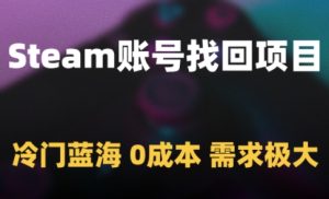 Steam账号找回项目,冷门蓝海,0成本,需求极大-最全项目网