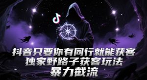 抖音只要你有同行就能获客,独家野路子获客玩法,暴力截流【揭秘】-最全项目网