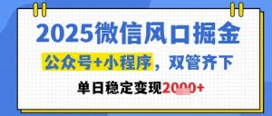2025微信风口掘金，公众号+小程序双管齐下，单日稳定变现1k+【揭秘】-最全项目网