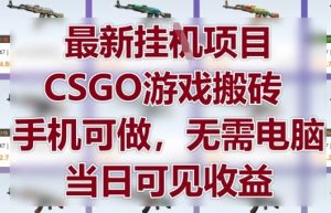 最新挂G项目，CSGO游戏搬砖，手机可做，无需电脑，当日见收益【揭秘】-最全项目网