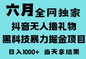 25年6月高爆抖音无人直播最新撸音浪掘金项目，门槛低小白可做，无脑日入1k，可矩阵放大【揭秘】-最全项目网