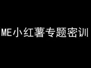 ME小红薯专题密训-小红书电商教程-最全项目网