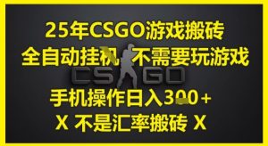 25年CSGO游戏搬砖,全自动运行,不需要玩游戏,手机操作日入3张(不是汇率搬砖)【揭秘】-最全项目网