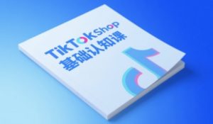 TikTok小店基础认知课，助力学员从 0 到 1 掌握 TikTok 电商运营全链路认知-最全项目网